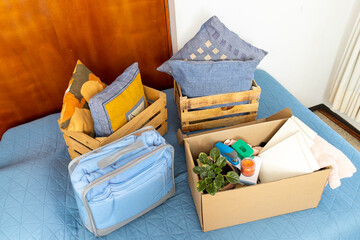 moving boxes with plants, books, pillows on a bed