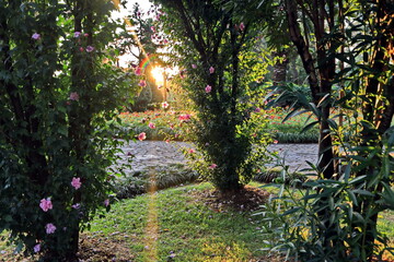 Sunset in the city of Batumi. Night views of road and buildings. Summer 2019.