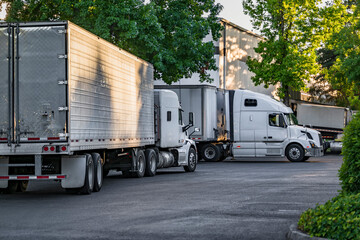 White big rigs semi trucks with reefer semi trailers waiting for next load standing on the warehouse parking lot with green trees
