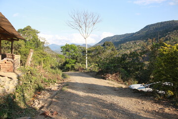 Yungas mountainous jungle in Bolivia