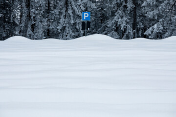 landscape with snow and trees and parking lot signal