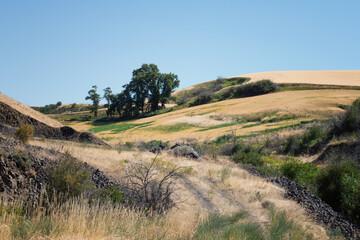 Mountain Farmland