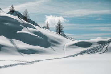 winter landscape with snow and trees