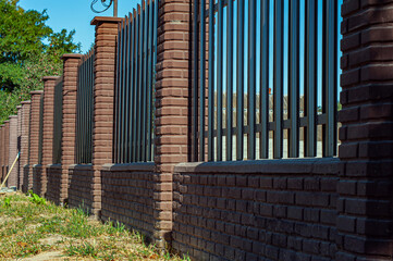 Obraz premium Texture of profiled metal. Metal fence. urban landscaping, beautiful thuja occidentalis on the background of a modern fence made of metal profile.