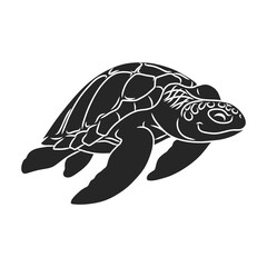 Turtle vector icon.Black vector icon isolated on white background turtle.