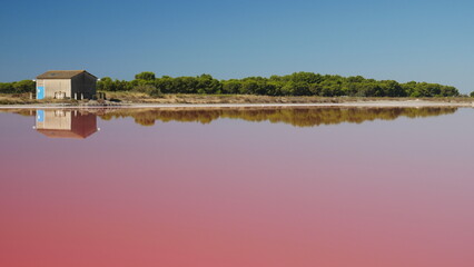 salins du midi aigues mortes