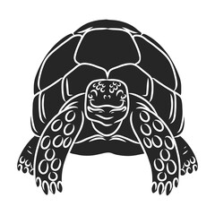 Turtle vector icon.Black vector icon isolated on white background turtle.