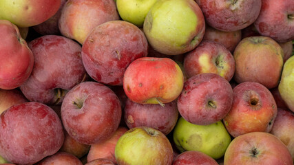 Fresh apples harvest. Natural apples background, close-up