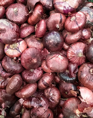 A full-frame shot of a purple bow. Fresh whole purple onions. Background. Texture. Vertical photo