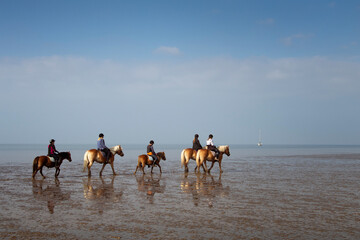 Fototapeta na wymiar 5 horse riders make a trip along the coast