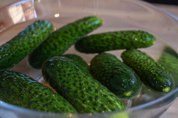 handmade marinated or pickled cucumbers with dill, garlic, and spices in a bowl and jar, rustic wooden table, homemade pickles, canning for the winter 