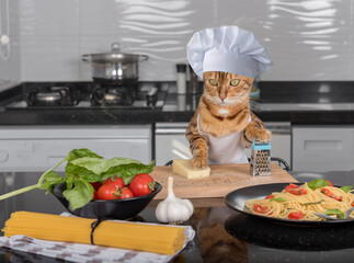 A cat in a chef's hat and apron is about to grate cheese.