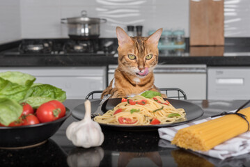 Сat sits at the table and licks its lips, in front of the cat there is a plate with cooked pasta with cherry tomatoes and basil.