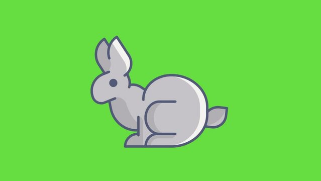 4k video of cartoon Easter bunny on green background.