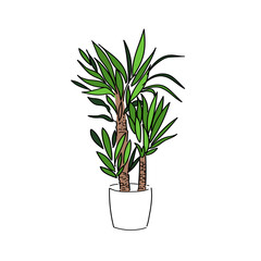 vector illustration palm yucca hand line contour and color