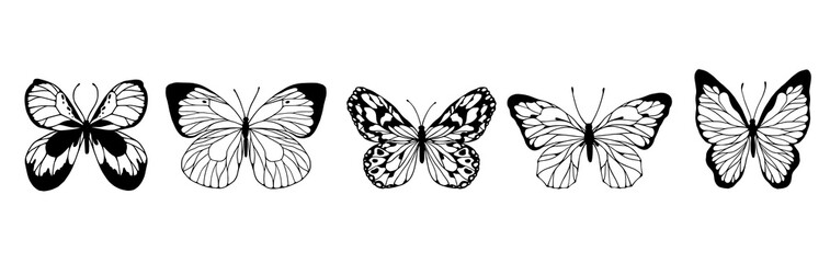 Set of doodles, sketches of winged insects, butterflies. Vector graphics.