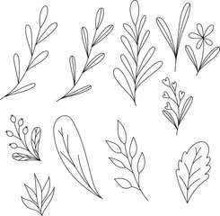 Beautiful doodle set different leaves, great design for any purposes. Vector sketch illustration. Beautiful natural background.