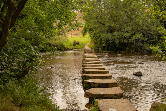 Stepping Stones, Lealholme North York Moors 