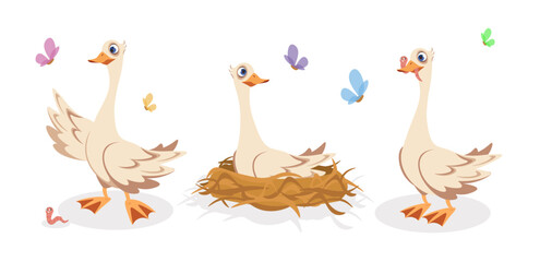 Vector illustration of cute and beautiful goose on white background. Charming characters in different poses stand, sit in nests, catch worms in cartoon style.