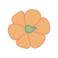 Pumpkin top view flat illustration. Vector orange pumpkin isolated
