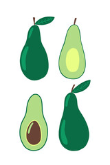 Avocado vector flat style set. Avocado and fruit in section vector set.
