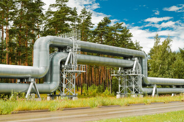 pipeline, pictured pipeline in the background blue sky and forest