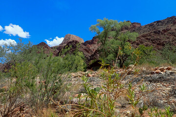 Clouds and blue sky with trees and mountains at Grand Canyon National Park, Arizona