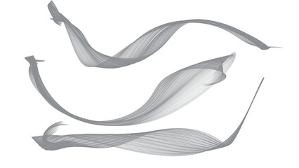 Isolated silver gray semi-transparent ribbon overlay