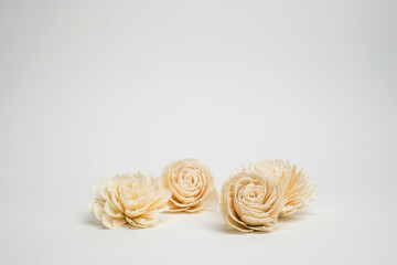 Background for beauty and woman product with wife Laura on white background.Skin care, cosmetic, product wallpaper.