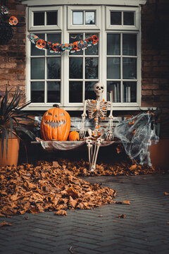 Halloween skeleton jack o lantern fall pumpkins candy corn and autumn leaves