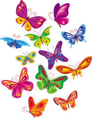 Obraz na płótnie Canvas vector colorful butterfly's set