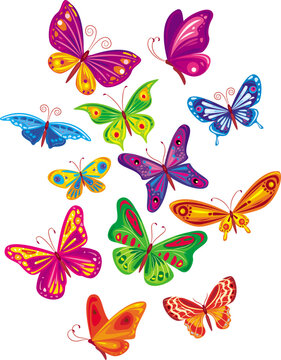 vector colorful butterfly's set