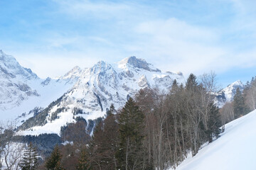 Fototapeta premium beautiful winter landscape, snow-covered trees, mountainpass, snowfall in the mountains, Swiss Alps in the snow, walks in the winter white forest, tourism, winter sports