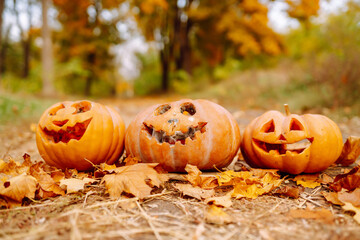 Set of orange pumpkins for halloween. Holidays, decoration concept.