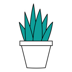 Potted house plants cartoon design