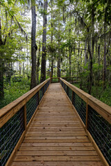 Fototapeta premium wooden bridge in the woods
