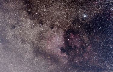 DeepSky: Nordamerika-Nebel (NGC 7000) mit Milchstraße (Astronomie)