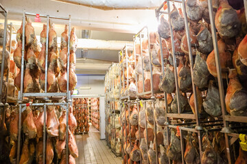 Modena, Italy - July 9, 2022: The various stages of prosciutto production in the industrial warehouse of Prosciuttificio Leonardi in the Modena region of Italy
