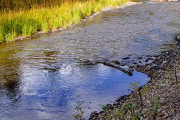 Obraz na płótnie Canvas Tay River Provincial Recreation Area Alberta Canada