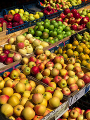 frout and vegetables on the market