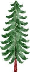 Hand Drawn Watercolor Pine Tree
