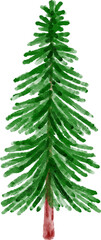 Fototapeta na wymiar Christmas Watercolor Pine Tree 