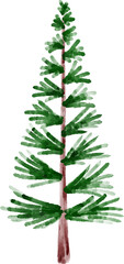 Christmas Watercolor Fir Tree

