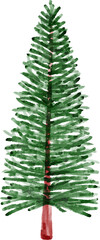 Christmas Watercolor Fir Tree
