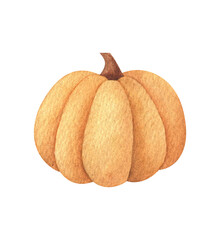 Watercolor pumpkin clipart. Orange autumn vegetable. The pumpkin pattern is isolated. Illustration of the harvest. Healthy natural food. Seasonal decorative element