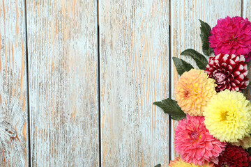 Beautiful dahlia flowers on wooden background, flat lay. Space for text