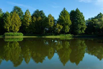 Fototapeta na wymiar park pond