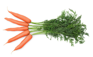 Many tasty ripe carrots on white background, top view