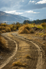 Camino rural en los andes peruanos, rodeado de arboles y arbustos, árido, seco y otoñal