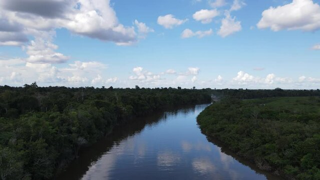 Selva y R&iacute;o Amaz&oacute;nico 